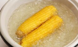 삶은옥수수 효능, 칼로리, 보관법, 1개, 당뇨, 혈당지수, 유통기한, 다이어트