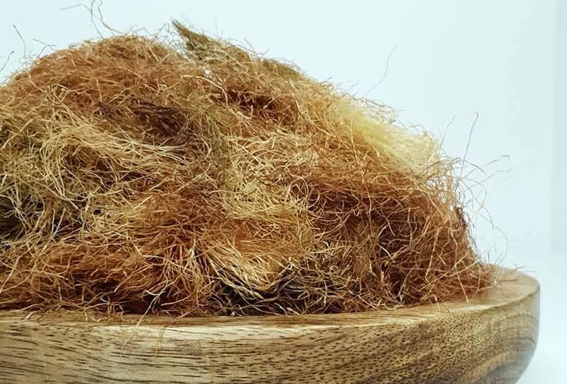옥수수수염차 효능, 칼로리, 부작용, 카페인, 혈당, 당뇨, 다이어트, 유통기한, 영양성분